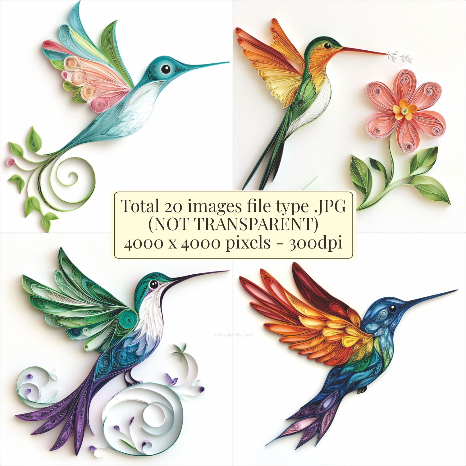 Hummingbird birds Paper Quilling Art Style