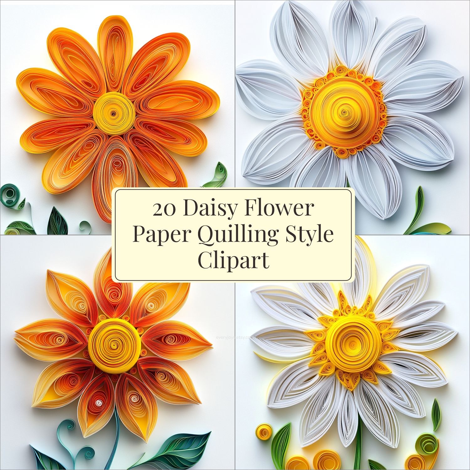Daisy flower images Paper Quilling Art Style
