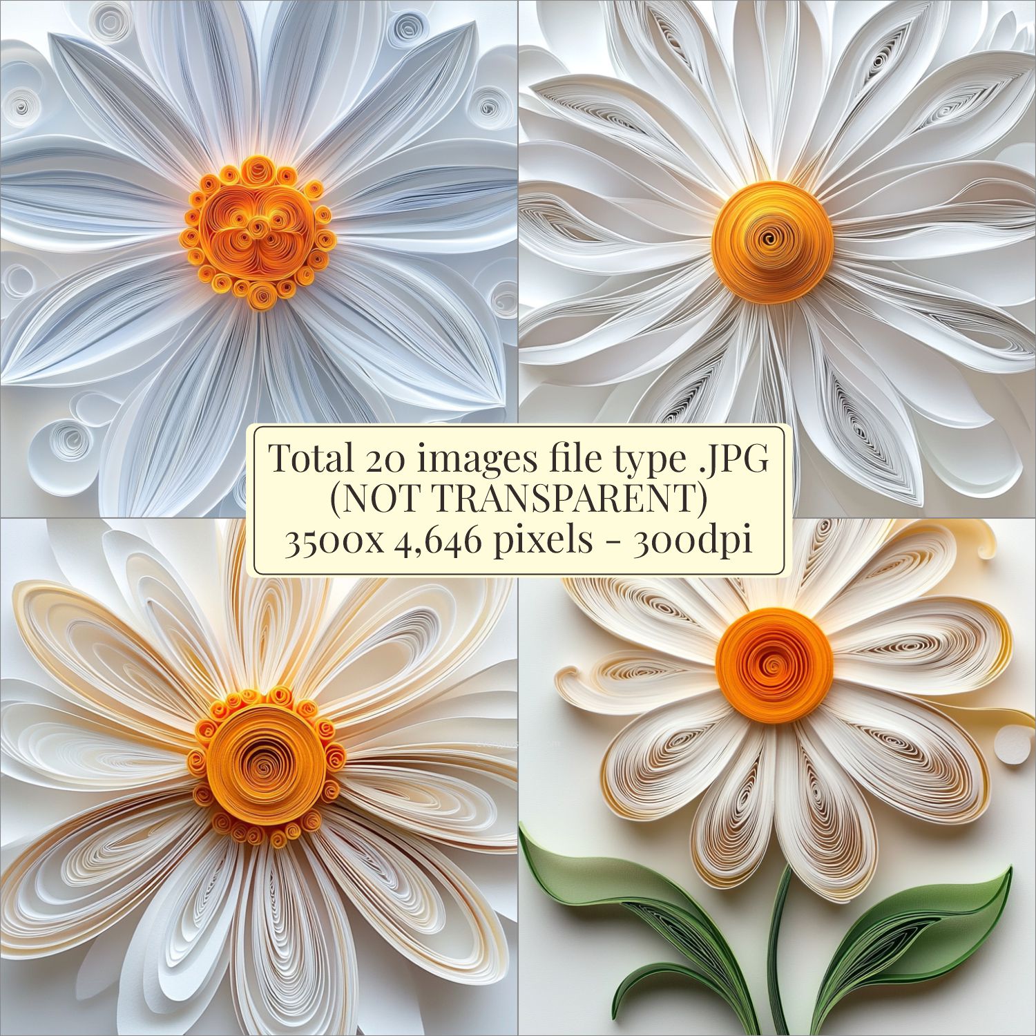 Daisy flower images Paper Quilling Art Style